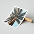 Plakat bez ramy 21x30 - Rajskie Inspiracje: Palma na Niebie - palma, na tle nieba