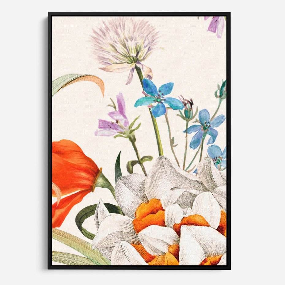 Obraz w ramie 50x70 - Polne Kwiaty - polne kwiaty, na białym tle - rama czarna