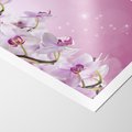 Plakat bez ramy 50x70 - Relaksujące Piękno - kwiaty, orchidea