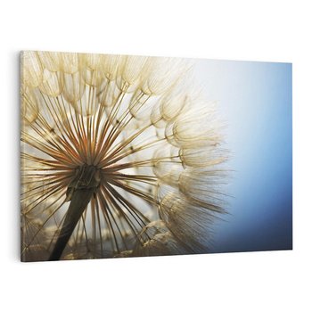 Obraz na płótnie 120x80 - Delikatny dmuchawiec w pełnym rozkwicie - dmuchawiec, kwiat