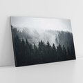 Obraz na płótnie 120x80 - Las w górach: mistyczna mgła - las, góry
