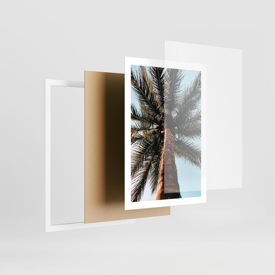 Plakat w ramie 50x70 - Rajskie Inspiracje: Palma na Niebie - palma, na tle nieba - rama biała