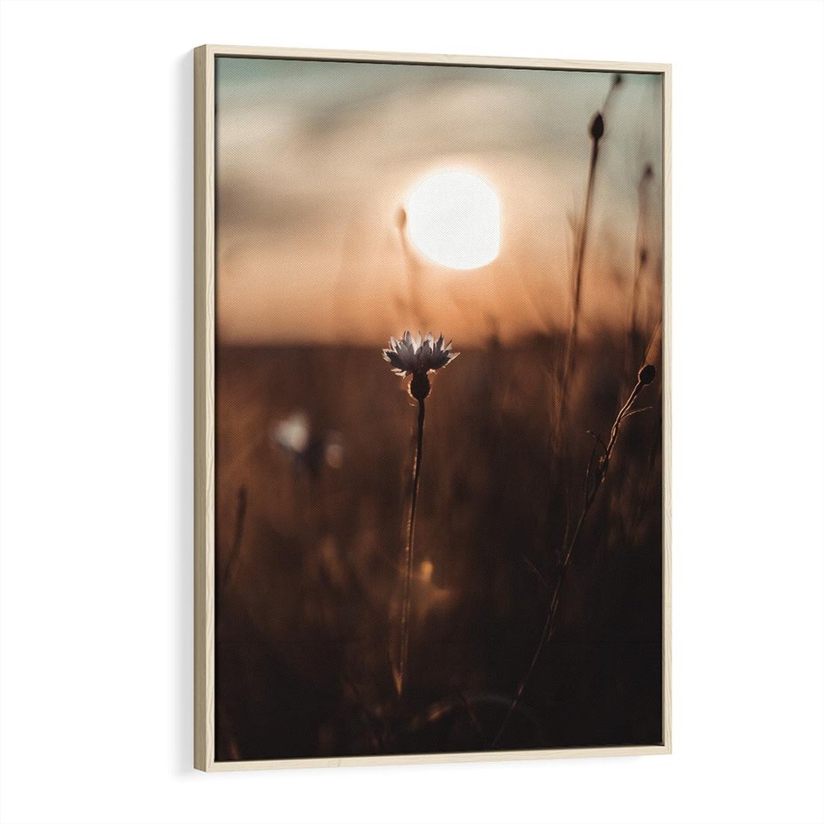 Obraz w ramie 80x120 - Spokój łąki pod zachodem słońca - zachód, słońca - rama drewno