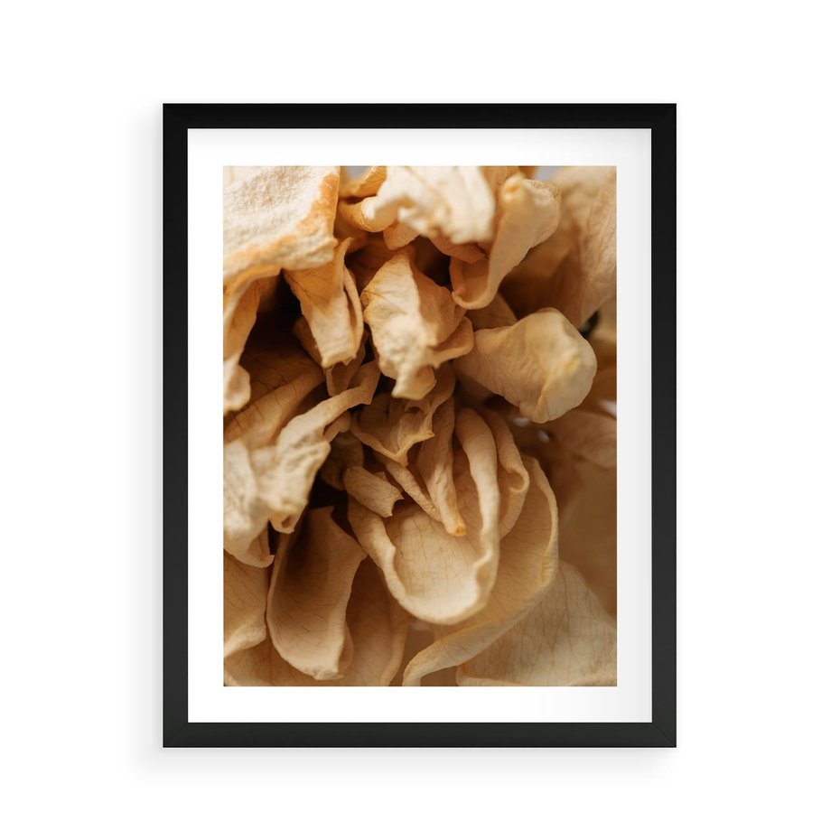 Plakat w ramie 40x50 - Zjawiskowe zasuszone kwiaty - zasuszone, kwiaty - rama czarna