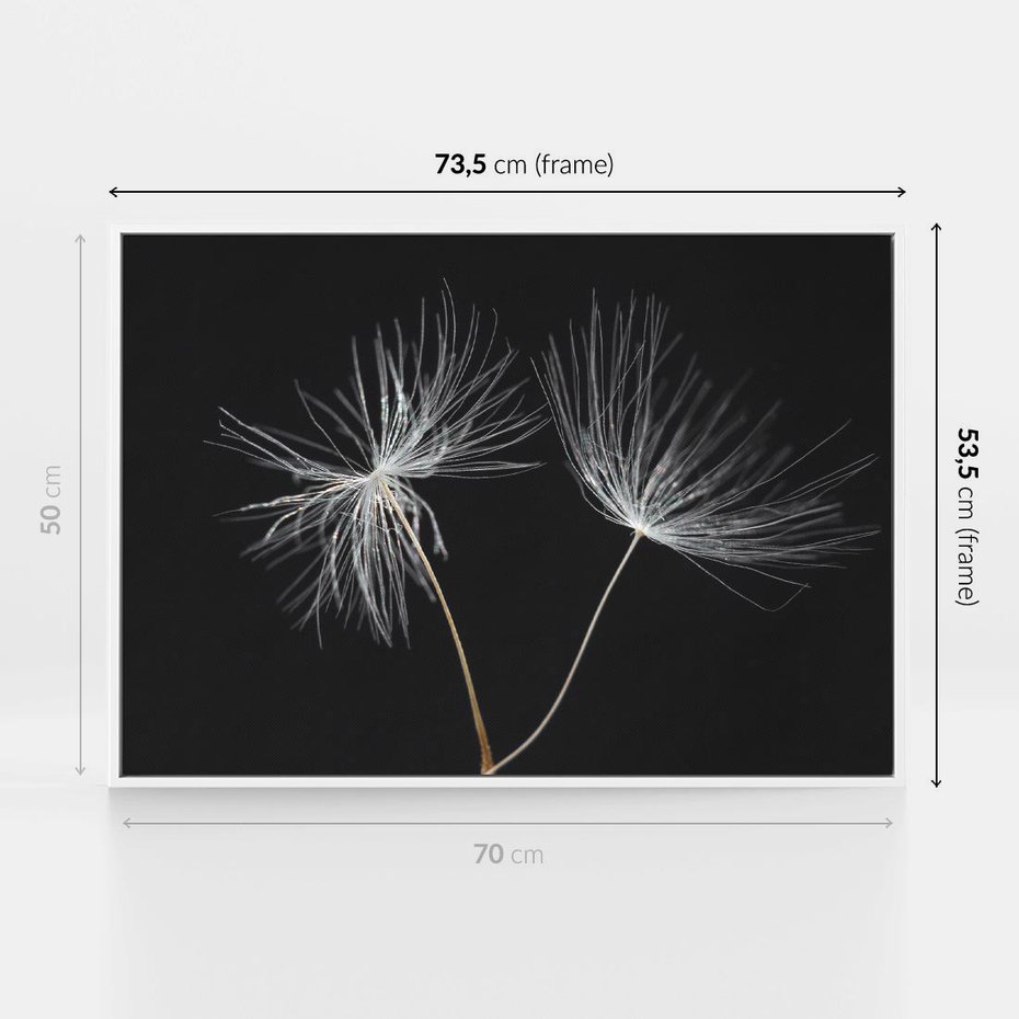 Obraz w ramie 70x50 - Delikatność Wiatru - dmuchawce, makro - rama biała