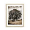 Plakat w ramie 40x50 - Spokojna Osamotniona Chwila - beżowe kolory, samotne drzewo na polu - rama drewno