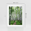 Plakat w ramie 30x40 - Magia lasu pełnego brzóz - las, brzozy - rama biała