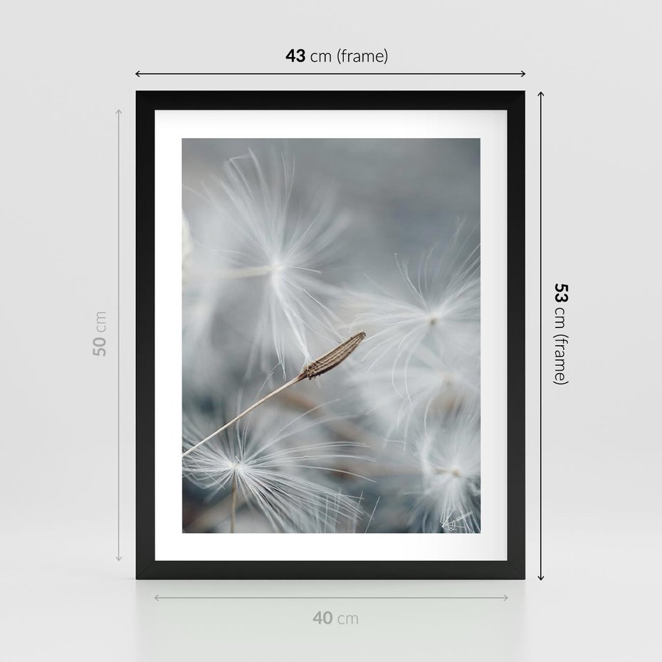 Plakat w ramie 40x50 - Piękno w Delikatności - dmuchawiec, makro zdjęcie - rama czarna