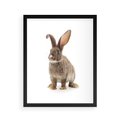 Plakat w ramie 40x50 - Delikatna Zwierzęca Uroda - królik, zwierzę - rama czarna