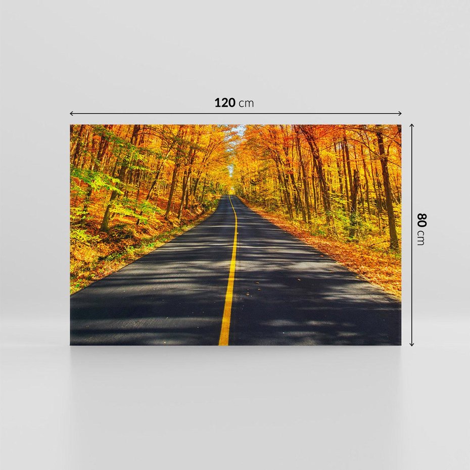 Obraz na płótnie 120x80 - Droga przez jesienny las - droga, las
