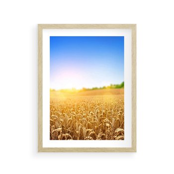 Plakat w ramie 30x40 - Żyzne Pola - pole, pszenicy - rama drewno
