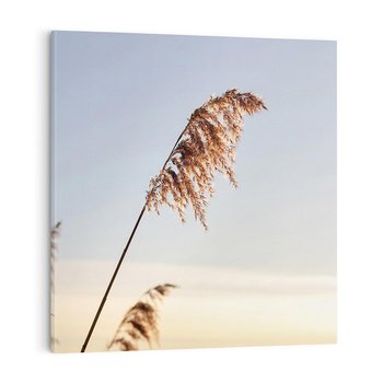 Obraz na płótnie 40x40 - Naturalna Delikatność - trawy, boho