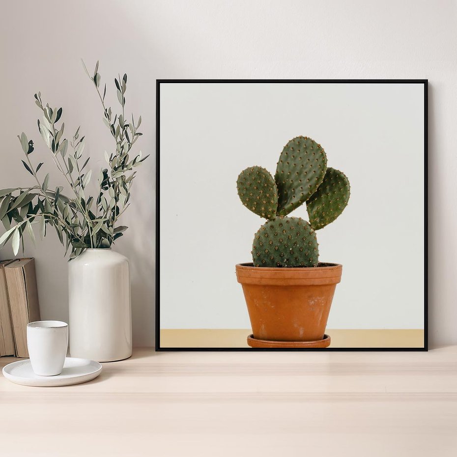 Obraz w ramie 50x50 - Kwiatowy taniec kaktusa - kaktus, kwiat - rama czarna