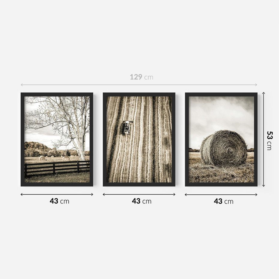 Zestaw obrazy w ramie 40x50 galeria - Pole, wieś, snopki, siana - rama czarna