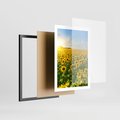 Plakat w ramie 50x70 - Idylla na łące słoneczników - łąka, słoneczniki - rama czarna