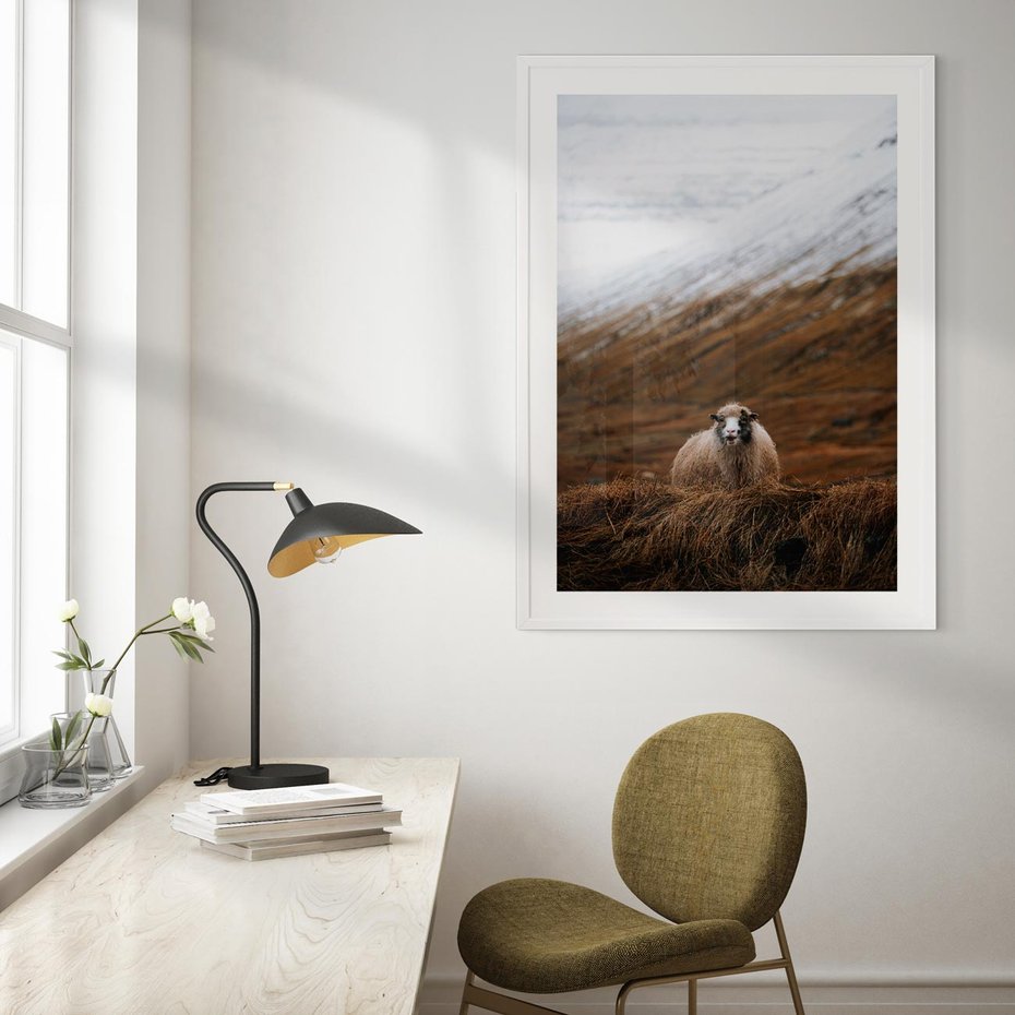 Plakat w ramie 40x50 - Owiecka panorama - góry, owca - rama biała