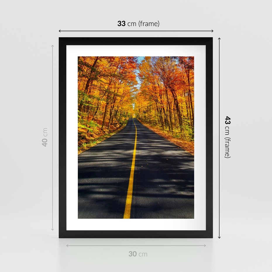 Plakat w ramie 30x40 - Droga przez jesienny las - droga, las - rama czarna