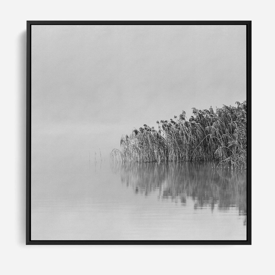 Obraz w ramie 50x50 - Mglisty Brzeg Jeziora - czarno białe zdjęcie, zamglone jezioro - rama czarna