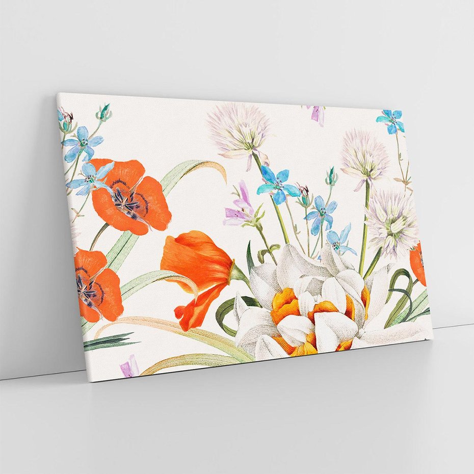 Obraz na płótnie 120x80 - Polne Kwiaty - polne kwiaty, na białym tle