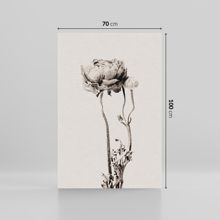 Obraz na płótnie 70x100 - Kwiatowa Symfonia w Szarościach - czarno biała odbitka, jak fotografia