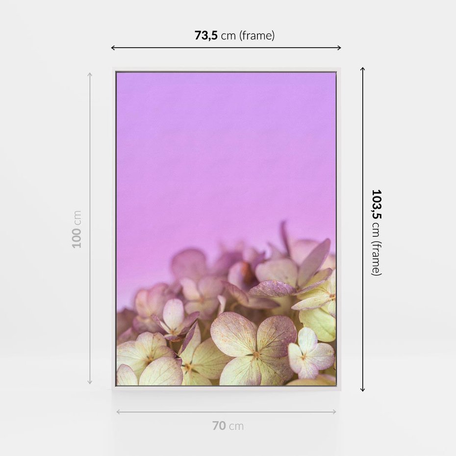 Obraz w ramie 70x100 - Kwiatowa Uroda - kwiaty, hortensje - rama biała