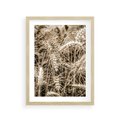 Plakat w ramie 30x40 - Zbliżenie na Kłosy Zboża - zboża, kłosy zboża - rama drewno