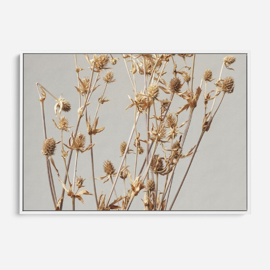 Obraz w ramie 70x50 - Delikatne gipsówki - gipsówka, suche - rama biała