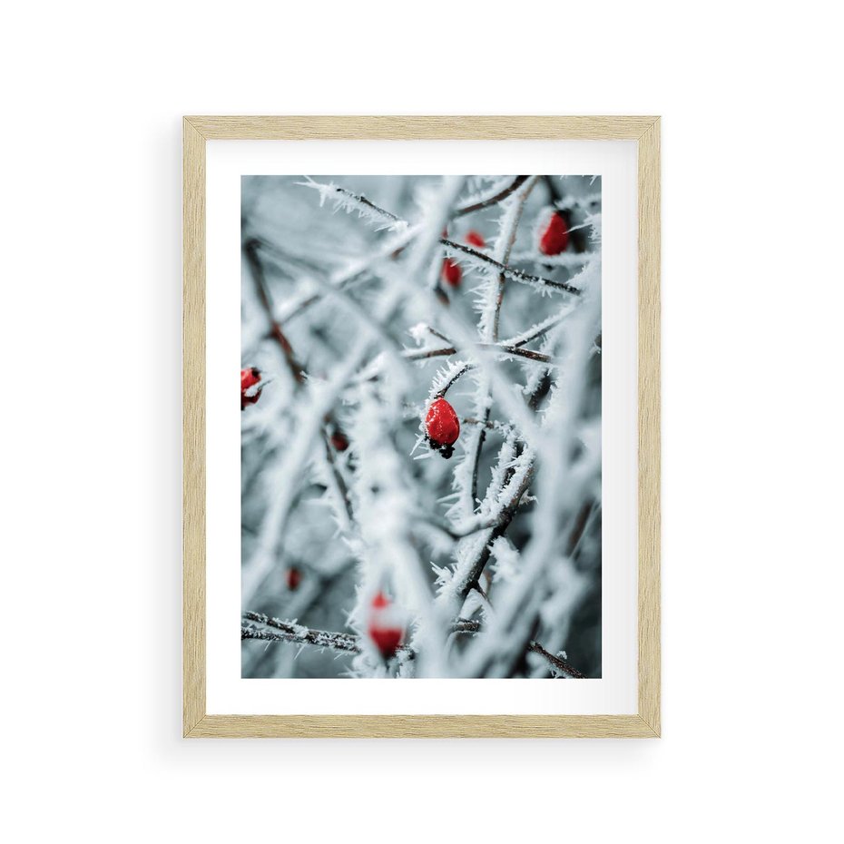 Plakat w ramie 30x40 - Zima na Gałęziach - zima, oszronione gałęzie - rama drewno