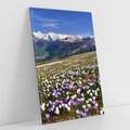 Obraz na płótnie 70x100 - Wiosenne Czarowanie - krokusy, góry