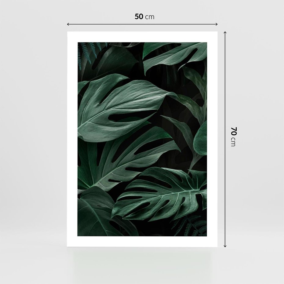 Plakat bez ramy 50x70 - Zielone Liście Monstery w Dżungli - zielone liście monstery, dżungla