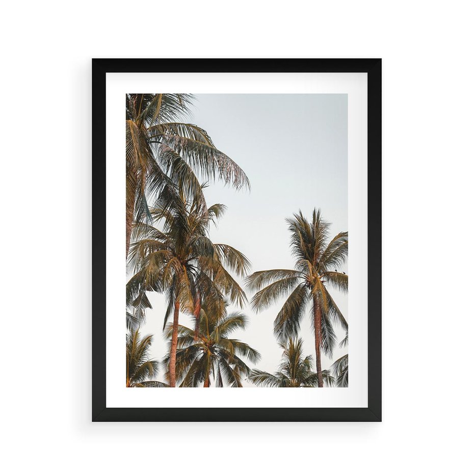 Plakat w ramie 40x50 - Palmy - tęsknota za Hawajami - palmy, Hawaje - rama czarna