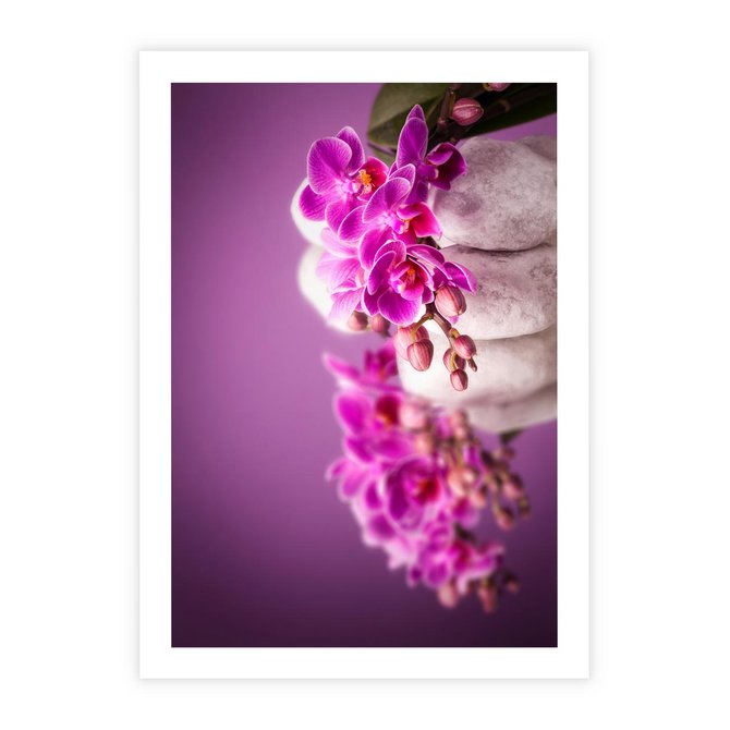 Plakat bez ramy 21x30 - Relaksująca orchidea w spa - spa, orchidea