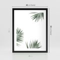 Plakat w ramie 40x50 - Liście Palmy na Czystym Tle - liście palmy, białe tło - rama czarna
