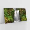 Obraz na płótnie 100x50 - Siła i Urok Natury - wodospad, las