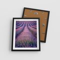 Plakat w ramie 40x50 - Pole Lawendy w Pełnej Krasie - pole lawendy, kompozycja - rama czarna