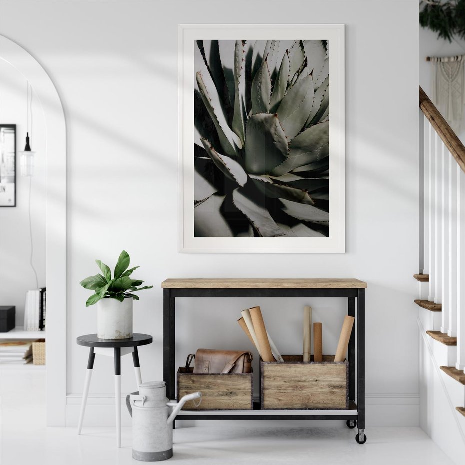 Plakat w ramie 30x40 - Egzotyczny Raj - sukulenty, kaktusy - rama biała