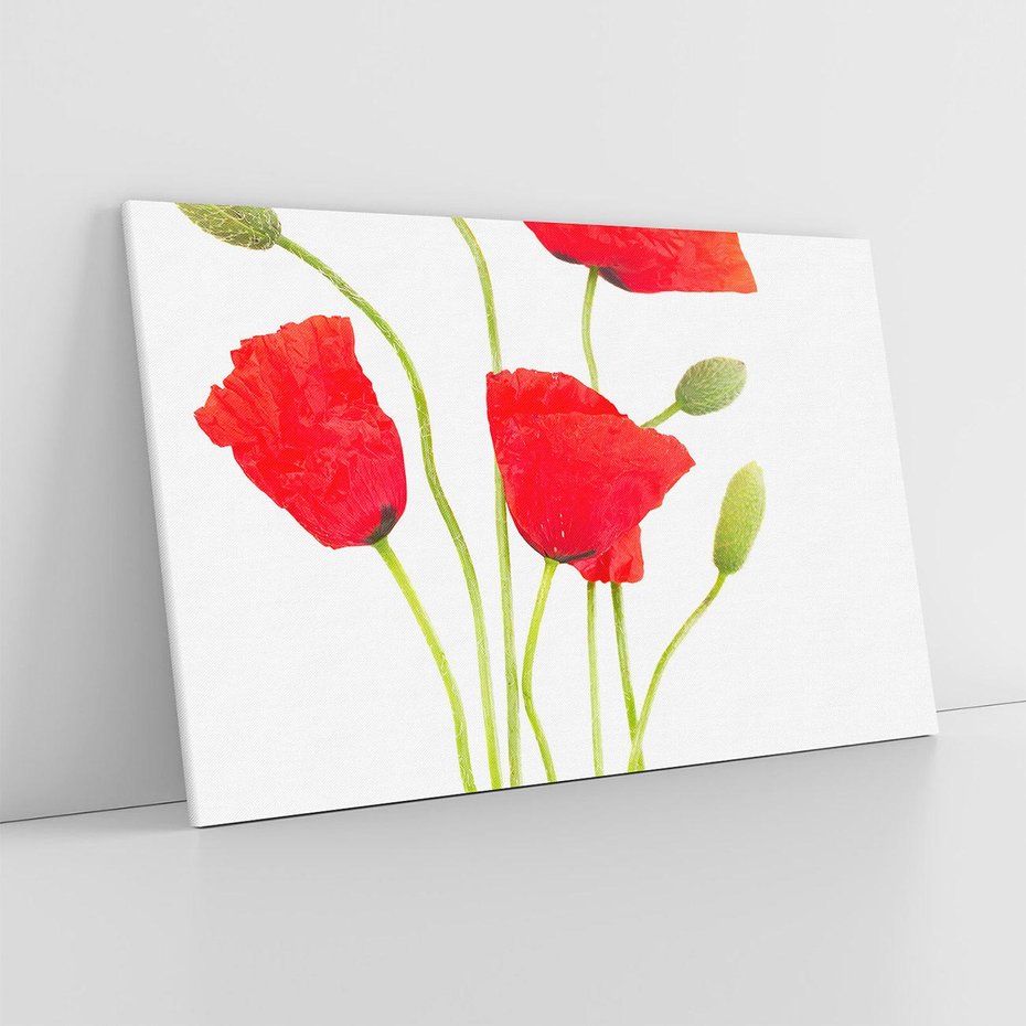 Obraz na płótnie 100x70 - Pola maków w pełnym kolorze - maki, kwiaty
