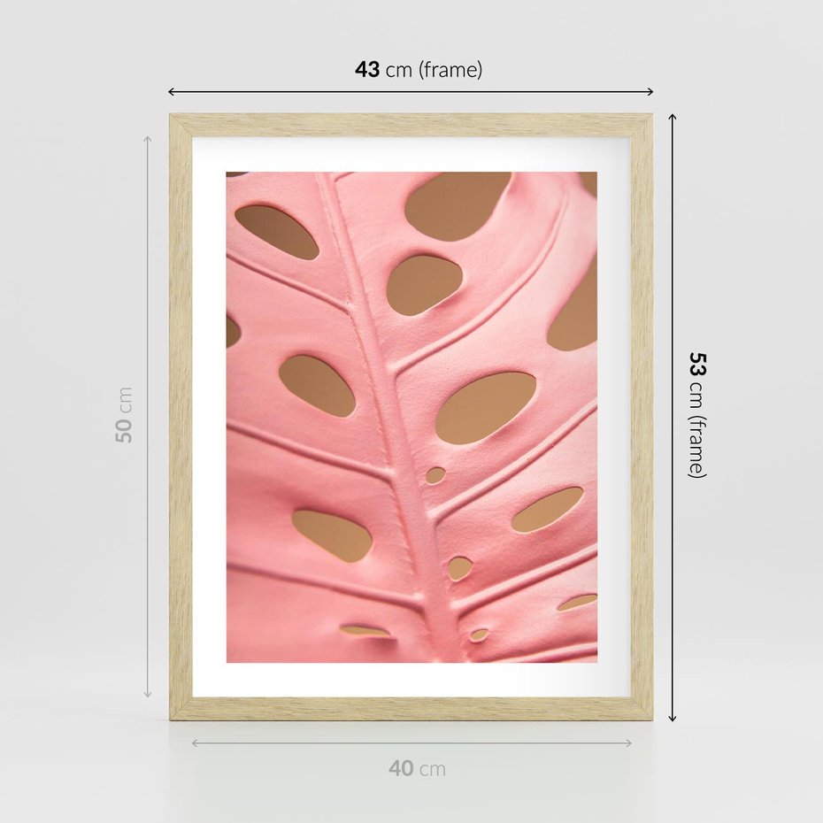 Plakat w ramie 40x50 - Różowa monstera w pełnym rozkwicie - różowa, monstera - rama drewno