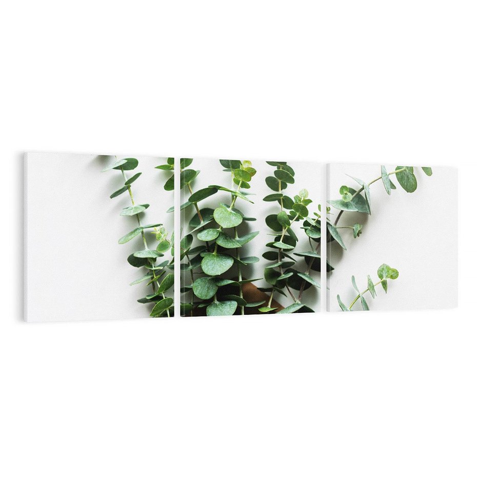 Obraz na płótnie 120x40 - Eukaliptusowa harmonia - eukaliptus, liście