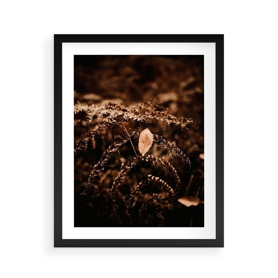 Plakat w ramie 40x50 - Gałęzie i Liść w Brązowej Tonacji - suche gałęzie, liść - rama czarna