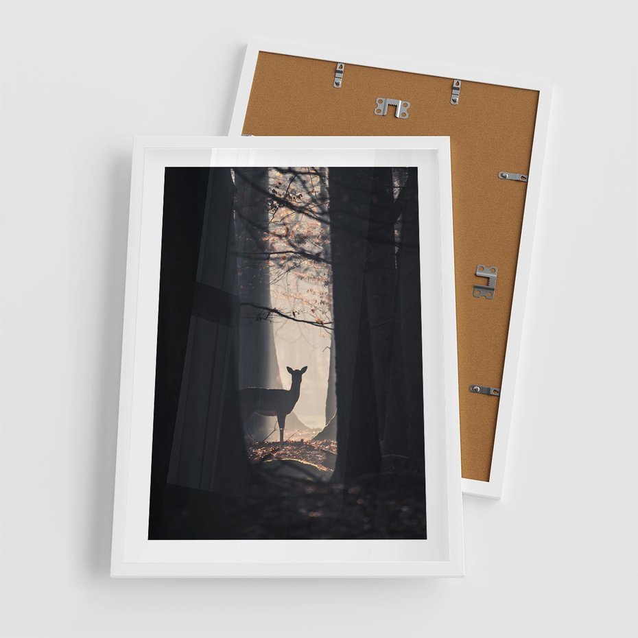 Plakat w ramie 50x70 - Sarnie Skoki - zdjęcie, klimatyczny las - rama biała