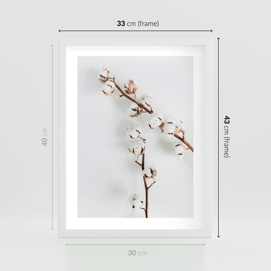 Plakat w ramie 30x40 - Gałęzie Bawełny na Białym Tle - gałęzie bawełny na białym tle, minimalizm - rama biała