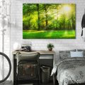 Obraz na płótnie 100x70 - Moc lasu - las, drzewa