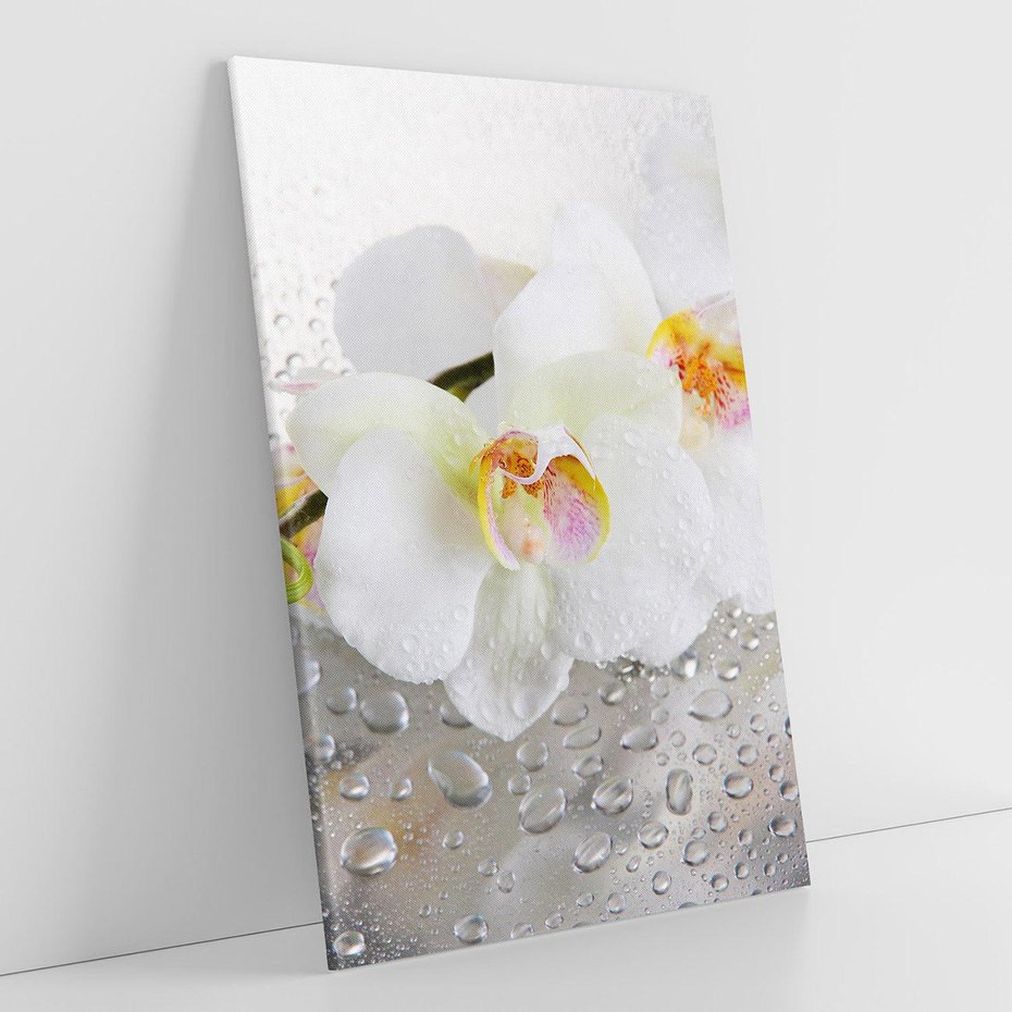 Obraz na płótnie 50x70 - Kwiatowy rój - kwiaty, kwiat