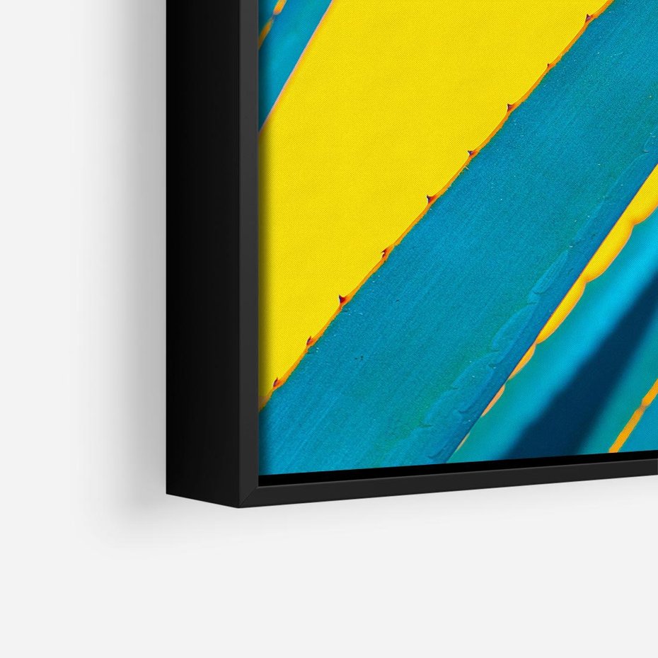 Obraz w ramie 50x50 - Świeżość Natury - aloes, liście - rama czarna