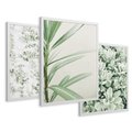 Zestaw obrazy w ramie 40x50 galeria - Liście, zieleń, minimalizm - rama biała