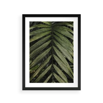 Plakat w ramie 50x70 - W Liściach Ukryte - zdjęcie, fotografia - rama czarna