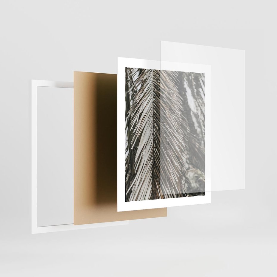 Plakat w ramie 40x50 - Egzotyczne Gałęzie - suche gałęzie, liście palmy - rama biała