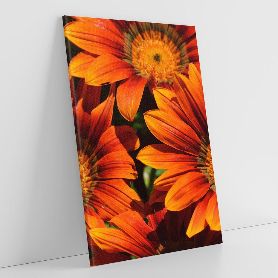 Obraz na płótnie 70x100 - Kwiatowa Esencja - kwiat, kwiaty