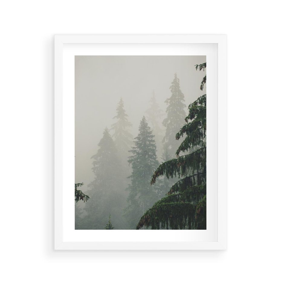 Plakat w ramie 40x50 - Mglista przemiana lasu - las, mgła - rama biała
